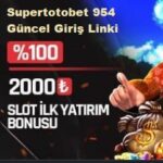 süper toto 954 giriş